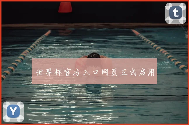 世界杯官方入口网页正式启用