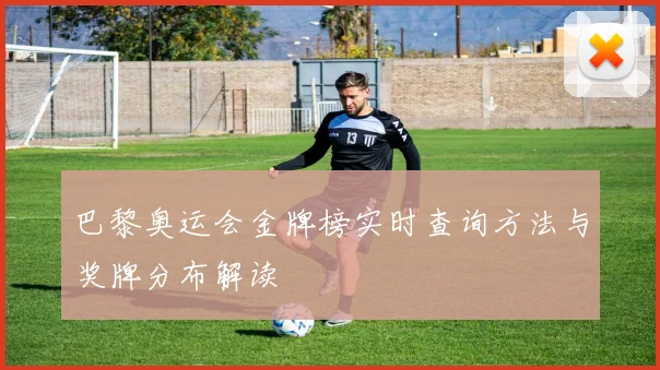 巴黎奥运会金牌榜实时查询方法与奖牌分布解读